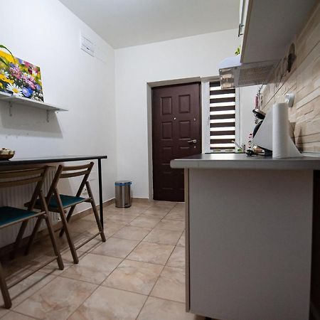 1 Freidorf Apartment Timisoara Exterior photo