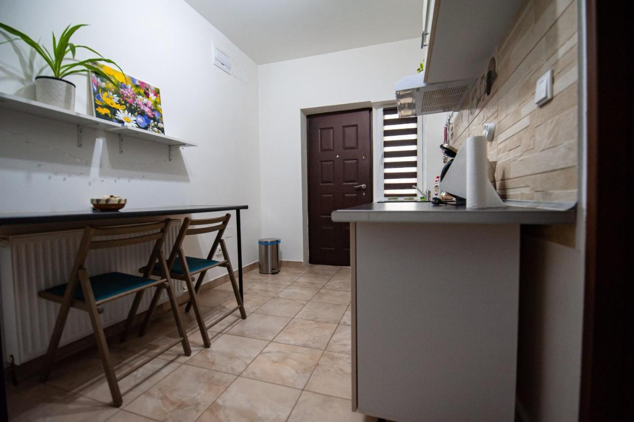 1 Freidorf Apartment Timisoara Exterior photo